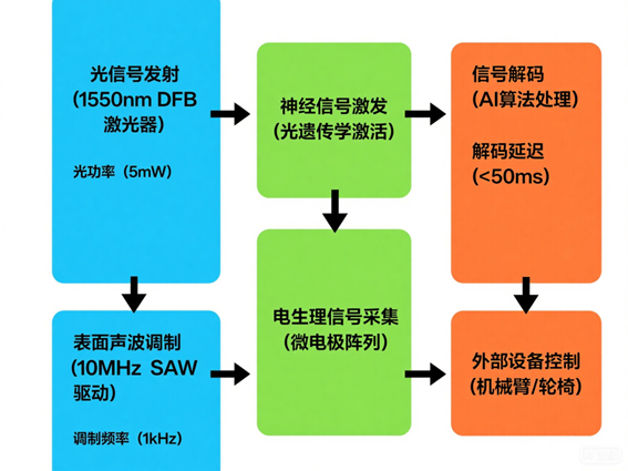 腦機接口光開關神經(jīng)調控系統(tǒng)工作流程圖